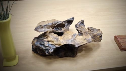 Asztali dísz - Fosszil