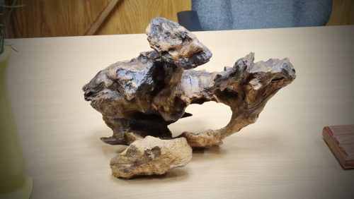 Asztali dísz - Fosszil