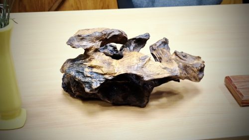 Asztali dísz - Fosszil